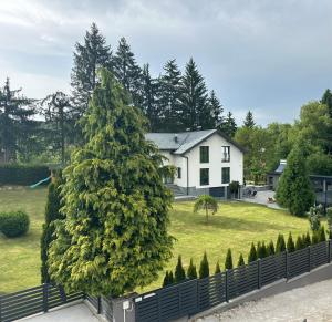 un grande pino di fronte a una casa di Villa Pazaric a Resnik