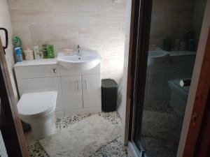 a bathroom with a toilet and a sink at Cosy Rural Gilbert Hights Llandovery Cynghordy in Cynghordy +53 photos
