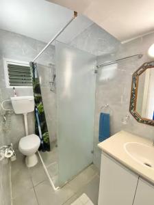 a bathroom with a shower and a toilet and a sink at Premium Haim apt in Haifa +23 photos