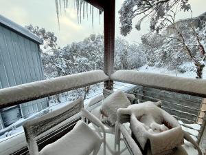 MAGNIFICENT SKIING ON MOUNT BULLER v zimě