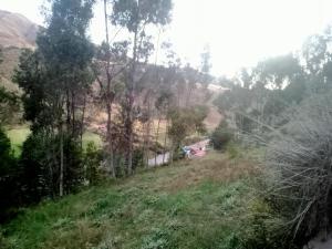 a view of a hill with trees and a road at Land incas Cochahuasi lodge in San Antonio