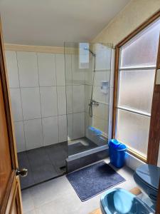 Un baño de Villa Florita