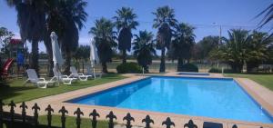 a swimming pool in a yard with palm trees at Koonwarra Holiday Park in Lakes Entrance