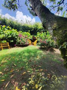 Fotografie z fotogalerie ubytování Paraiso Hortensia Ecolodge v destinaci Santiago de los Caballeros