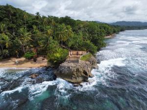 an aerial view of a beach with palm trees and the ocean at Good Vibes Apartments in Talamanca