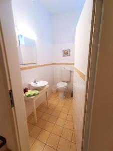 UnslebenにあるAlte Brauerei am Wasserschlossのトイレと洗面台付きのバスルーム