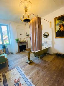 a bathroom with a bath tub and a chandelier at Chateau Ciers in Saint-Ciers-sur-Gironde +171 photos