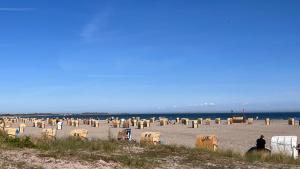 Naturlandskabet i nærheden af lejligheden + 4 billeder