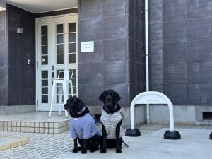 宇多津町笑いあふれる乾杯を 小さなホテル ミセス マルベリー的两只黑狗坐在一栋建筑旁边