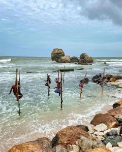 Φυσικό τοπίο κοντά σε αυτός ο ξενώνας