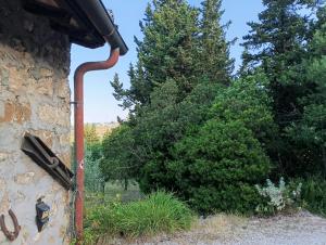 Fotografie z fotogalerie ubytování Camera al Poggio ai Grilli v destinaci Mugnana