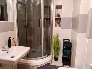 a bathroom with a shower and a sink and a toilet at Apartament przy Starej Hucie in Szklarska Poręba