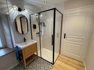 a bathroom with a shower and a sink and a mirror at La petite maison d a cote in Champniers