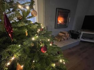 a christmas tree in a living room with a fireplace at 3 The Mews in Ryde