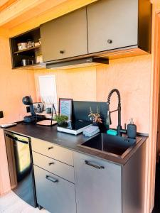 Šmartno v Rožni DoliniTiny House Glamping Mak的带水槽和台面的厨房