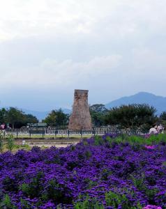 Mynd úr myndasafni af Cypress Stay Near Oxygen Park in Gyeongju Center í Gyeongju