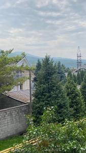 Priroda u blizini of the country house