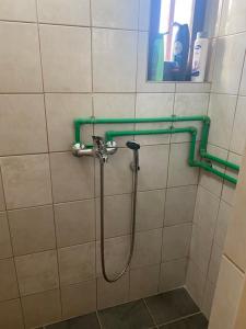 a shower in a bathroom with a hose on a wall at Farma 2 in Cazin +41 photos