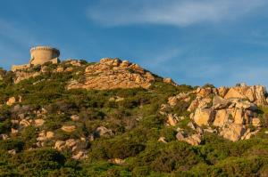 a hill with a tower on top of it at HOTEL CAMPOMORO in Belvédère-Campomoro