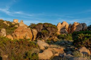 a group of rocks and trees on a hill at HOTEL CAMPOMORO in Belvédère-Campomoro