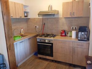 a small kitchen with a stove and a sink at Casa Tudor in Jurilovca