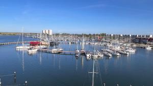 Naturlandskabet i nærheden af lejligheden