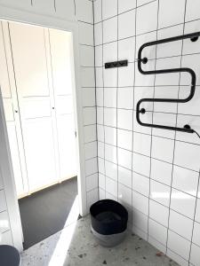 a bathroom with a black toilet in a room at Svencele mini cottage apartment in Svencelė +19 photos