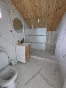 Ένα μπάνιο στο Vila Amedeea +10 φωτογραφίες
