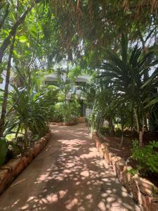 a walkway through a garden with palm trees at Siri Beach Lodge in Nungwi