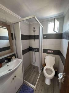 a bathroom with a shower and a toilet and a sink at Christina Traditional House in Ágios Konstantínos