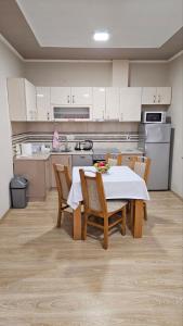 Η κουζίνα ή μικρή κουζίνα στο Ramonda Apartment