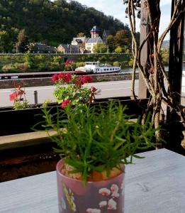 Billede fra billedgalleriet på Bachmeier's Gasthaus Traube Niederfell i Niederfell