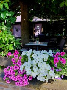 Billede fra billedgalleriet på Bachmeier's Gasthaus Traube Niederfell i Niederfell