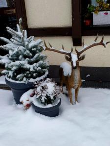 Billede fra billedgalleriet på Bachmeier's Gasthaus Traube Niederfell i Niederfell