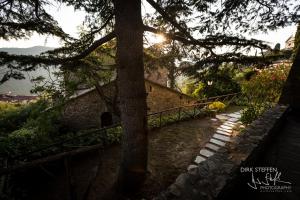 a stairway leading up to a building with a tree at Exclusive 15th century castle, between Cinque Terre and Portofino, offering complete privacy and a private infinity pool in Leivi