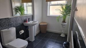 a bathroom with a white toilet and a sink at Amani Bungalow in Brandon +31 photos