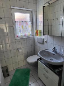 a bathroom with a sink and a toilet and a window at Bodensee Idylle in Friedrichshafen