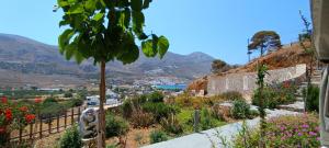 a view of a city from a garden at Aliori art caves in Aegiali