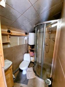 a small bathroom with a toilet and a shower at Domki na Skalistej w Szczyrku in Szczyrk