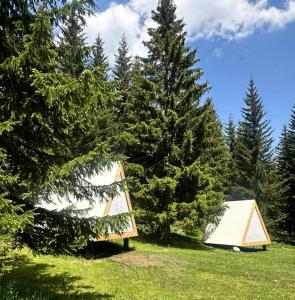 Příroda nedaleko luxury tent