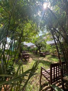 a park with picnic tables and benches in the trees at Siri Beach Lodge in Nungwi