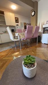 Kuchyň nebo kuchyňský kout v ubytování Apartman Štefan