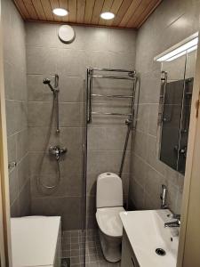 a bathroom with a shower and a toilet and a sink at Upea yksiö aivan Helsingin keskustasta in Helsinki