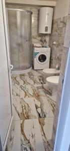 a bathroom with a toilet and a sink at Casa de vacanta Musatesti in Robaia