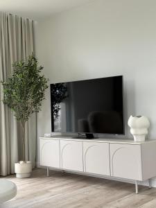 TV a/nebo společenská místnost v ubytování GOLD Apartment - Lotnisko Pyrzowice-Katowice