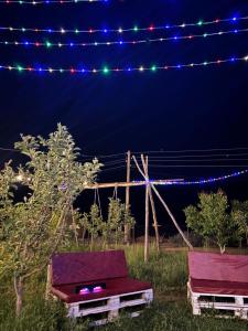 Fotografie z fotogalerie ubytování Guesthouse Snow Leopard - 'Ak Ilbirs' v destinaci Tong