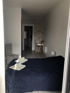 En eller flere senge i et værelse på Studio 23 m2 Henri IV, centre-ville proche des thermes