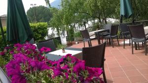 Zahrada ubytování Villa Leilani B&B