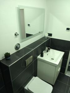 a bathroom with a toilet and a sink and a mirror at City-Apartment in Bremerhaven in Bremerhaven