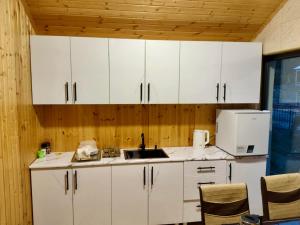 Kuchyň nebo kuchyňský kout v ubytování Hotel Okatsia სასტუმრო ოკაცია